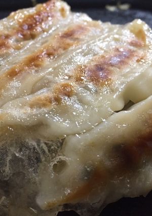 ゼラチンで肉汁ジュワッと羽根付き餃子-レシピのメイン写真