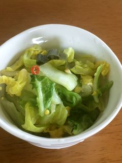 昆布茶で白菜の浅漬け-レシピのメイン写真