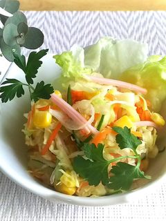 春野菜の塩揉みサラダ-レシピのメイン写真