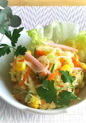 春野菜の塩揉みサラダ-レシピのメイン写真