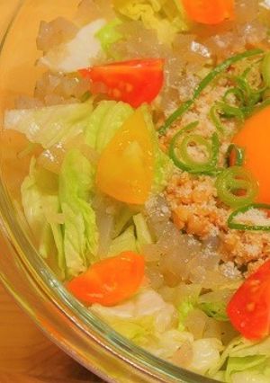 コンニャク納豆サラダ-レシピのメイン写真