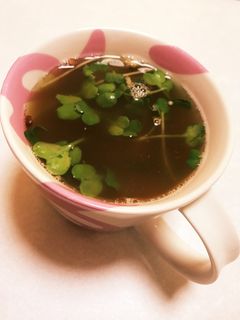 納豆と梅干のスープ-レシピのメイン写真