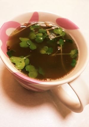 納豆と梅干のスープ-レシピのメイン写真