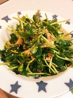 旨い!豆苗とツナのこんぶ茶和え-レシピのメイン写真
