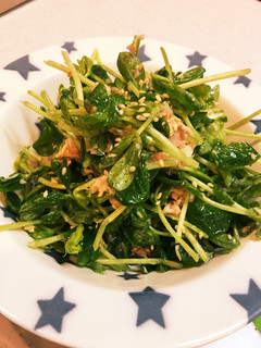 旨い!豆苗とツナのこんぶ茶和え-レシピのメイン写真