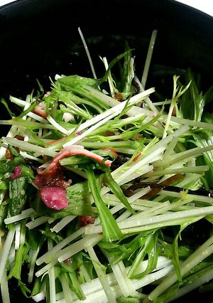 水菜のサラダ-レシピのメイン写真