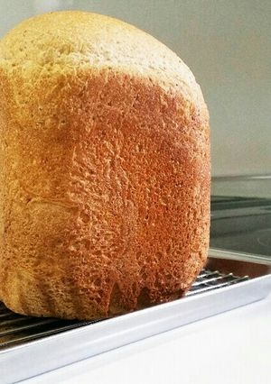 全粒粉牛乳食パン-レシピのメイン写真