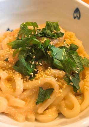 明太クリームのおうどん-レシピのメイン写真