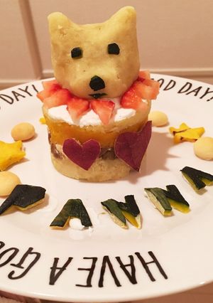 ドッグケーキ-レシピのメイン写真