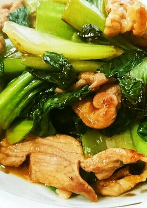 チンゲン菜と豚肉のオイスターソース炒め-レシピのメイン写真