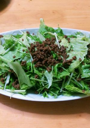 水菜と肉そぼろのサラダ-レシピのメイン写真