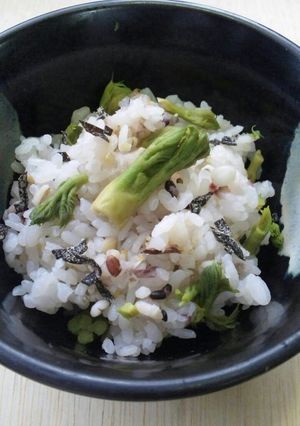 タラの芽と雑穀米ご飯-レシピのメイン写真