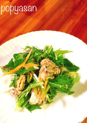 水菜と鯖缶のシャキシャキサラダ♪♪-レシピのメイン写真