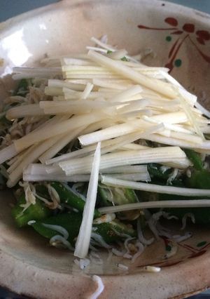 簡単 オクラとしらすのおつまみ-レシピのメイン写真