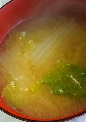 白菜と油揚げの味噌汁-レシピのメイン写真