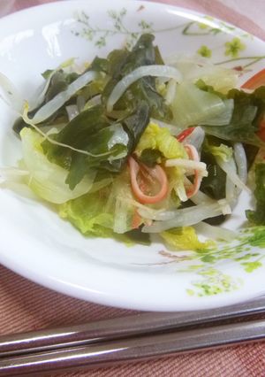 ゆで白菜＆もやしの酢の物-レシピのメイン写真