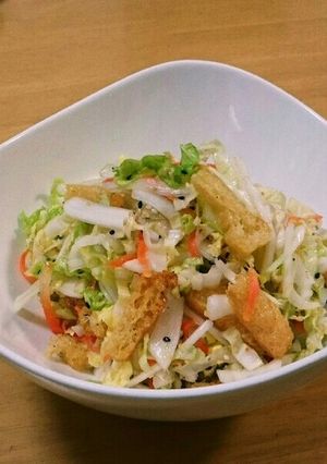 白菜と油揚げのさっぱりサラダ-レシピのメイン写真