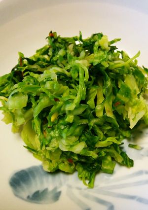 発酵塩キャベツ-レシピのメイン写真