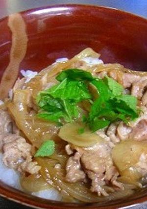 季節の甘い野菜！新玉ねぎたっぷり豚丼-レシピのメイン写真