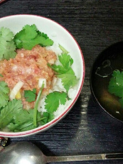 パクチーなめろうマグロ丼(^^)/-レシピのメイン写真