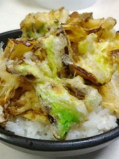 がっつり食べれる♪春キャベツだけ天ぷら丼-レシピのメイン写真