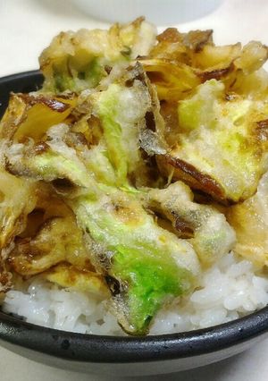 がっつり食べれる♪春キャベツだけ天ぷら丼-レシピのメイン写真