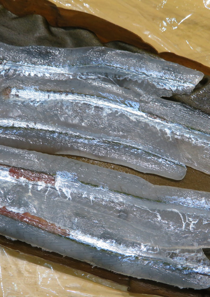 細魚（さより）の昆布〆-レシピのメイン写真