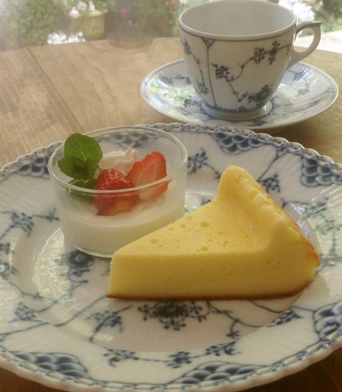 フードプロセッサーで簡単✨チーズケーキ-レシピのメイン写真