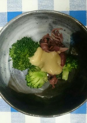 ブロッコリーとホタルイカの酢味噌和え-レシピのメイン写真