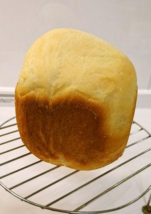 カスピ海ヨーグルトで食パン-レシピのメイン写真
