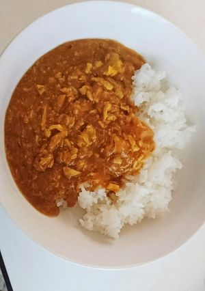 リメイク レトルトの親子丼で和風カレー-レシピのメイン写真