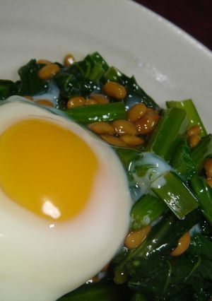 とろ☆ネバ☆青菜の納豆和え温泉卵添え-レシピのメイン写真
