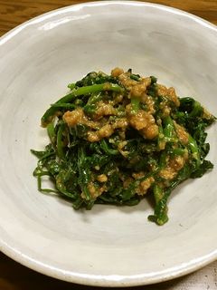 甘麹(甘酒)胡麻和えの素 -レシピのメイン写真