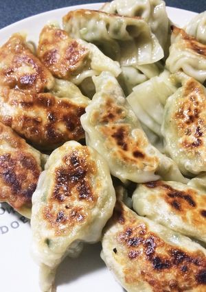 野菜たっぷりふんわり焼き餃子-レシピのメイン写真