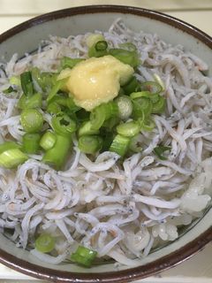 しらす丼-レシピのメイン写真