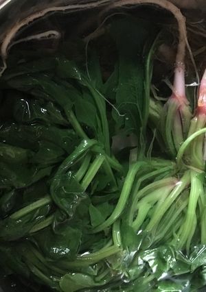 【覚書】ほうれん草の茹で方-レシピのメイン写真