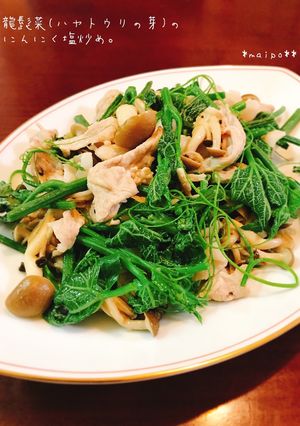 龍髭菜(ハヤトウリの芽)のにんにく塩炒め-レシピのメイン写真
