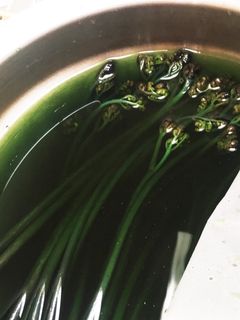 生わらびのアク抜き(下処理)-レシピのメイン写真