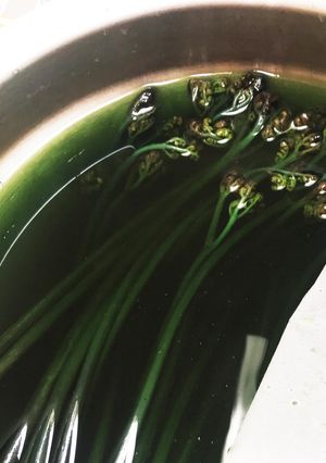 生わらびのアク抜き(下処理)-レシピのメイン写真