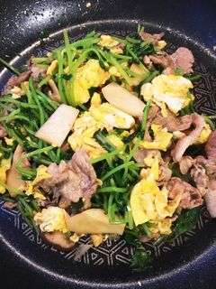 豆苗と豚肉のオイスターソースいため-レシピのメイン写真