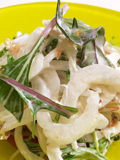 新玉ねぎと水菜のおかかサラダ-レシピのメイン写真