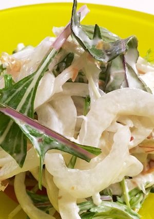 新玉ねぎと水菜のおかかサラダ-レシピのメイン写真