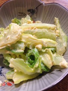 キャベツサラダ-レシピのメイン写真