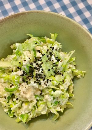 春キャベツと豆腐のサラダ-レシピのメイン写真