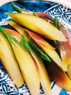 簡単絶品やみつき☆みょうがのナムル-レシピのメイン写真