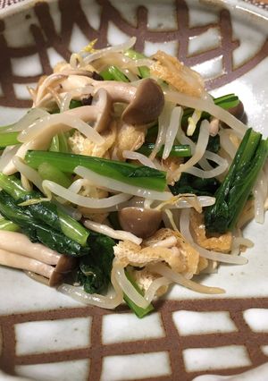 シャキシャキ＊小松菜と安い野菜のおひたし-レシピのメイン写真