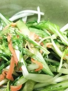 水菜の浅漬け-レシピのメイン写真