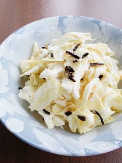 春きゃべつのフレッシュマリネ-レシピのメイン写真