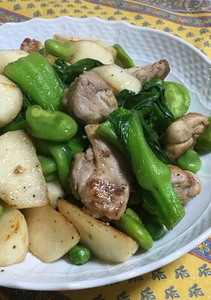 春の味★鶏肉と春野菜のサラダ感覚塩炒め-レシピのメイン写真