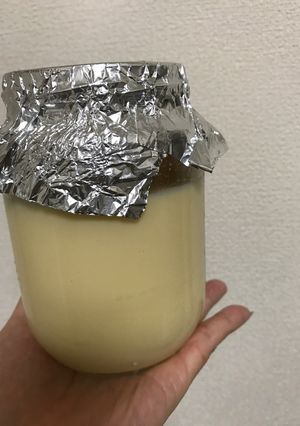 炊飯器の保温で２０分！　巨大プリン♪-レシピのメイン写真